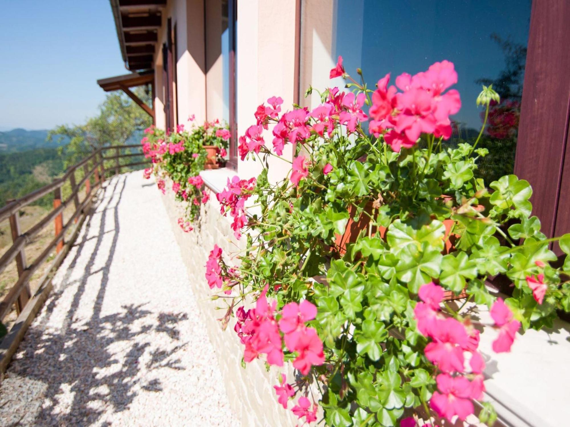 Inviting In Appenines With Covered Swimming Pool Holiday home Apecchio